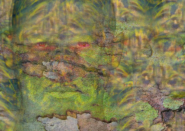 Hiding In Plain Sight